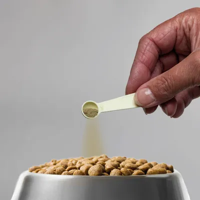 A hand sprinkles powdered supplement from a measuring spoon onto dry food in a bowl, demonstrating how to add the supplement to pet food.