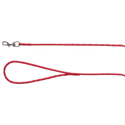 Laisse pour chien en corde tressée rouge avec poignée et mousqueton métallique visibles, sans marque apparente.