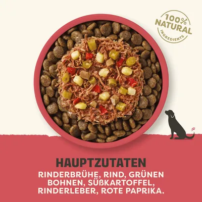 100 % ingrédients naturels. Principaux ingrédients : bouillon de bœuf, bœuf, haricots verts, patate douce, foie de bœuf, poivron rouge.