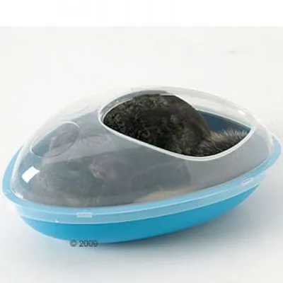 Contenitore in plastica blu con coperchio trasparente, all'interno un piccolo animale dal pelo scuro visibile attraverso l'apertura superiore.