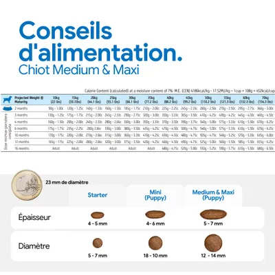 Recommandation d’alimentation pour chiot medium & maxi avec tableau de dosage selon le poids et l’âge, ainsi qu’un aperçu des croquettes starter, mini et medium & maxi avec diamètre et épaisseur.