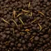 JR Garden Grainless Igelfutter
