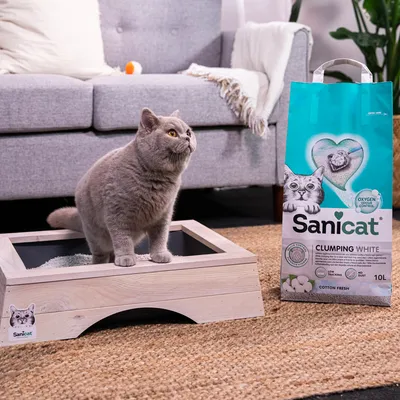 Sanicat Clumping White stelivo pre mačky, 10 l, s Oxygen Odor Control a vôňou Cotton Fresh. Mačka stojí na drevenej mačacej toalete vedľa balenia.