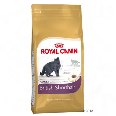 Saco de pienso Royal Canin Adult British Shorthair para gatos, con ilustración de un gato negro y croqueta. Texto visible: Muscle tone & joint health, Dental health, Healthy heart.