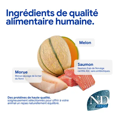 Ingrédients : melon, saumon norvégien frais certifié ASC sans antibiotiques, cabillaud sauvage de la mer du Nord. Protéines de haute qualité pour une alimentation équilibrée des animaux. Ingrédients : melon, saumon norvégien frais certifié ASC sans antibiotiques, cabillaud sauvage de la mer du Nord. Protéines de haute qualité pour une alimentation équilibrée des animaux.