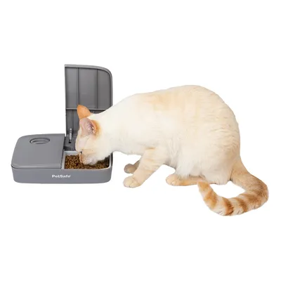 PetSafe Futterautomat mit geöffnetem Fach, gefüllt mit Trockenfutter. Katze frisst aus dem Automaten.