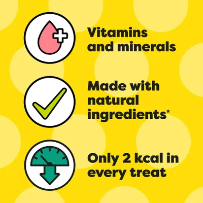 Big Pack Dreamies Cat Treats 200g