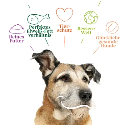 Видны надписи на немецком: Reines Futter, Perfektes Eiweiß-Fett verhältnis, Tierschutz, Bessere Welt, Glückliche gesunde Hunde. Текст на изображении не переведен.