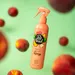 Spray Pet Head Quick Fix pour chien
