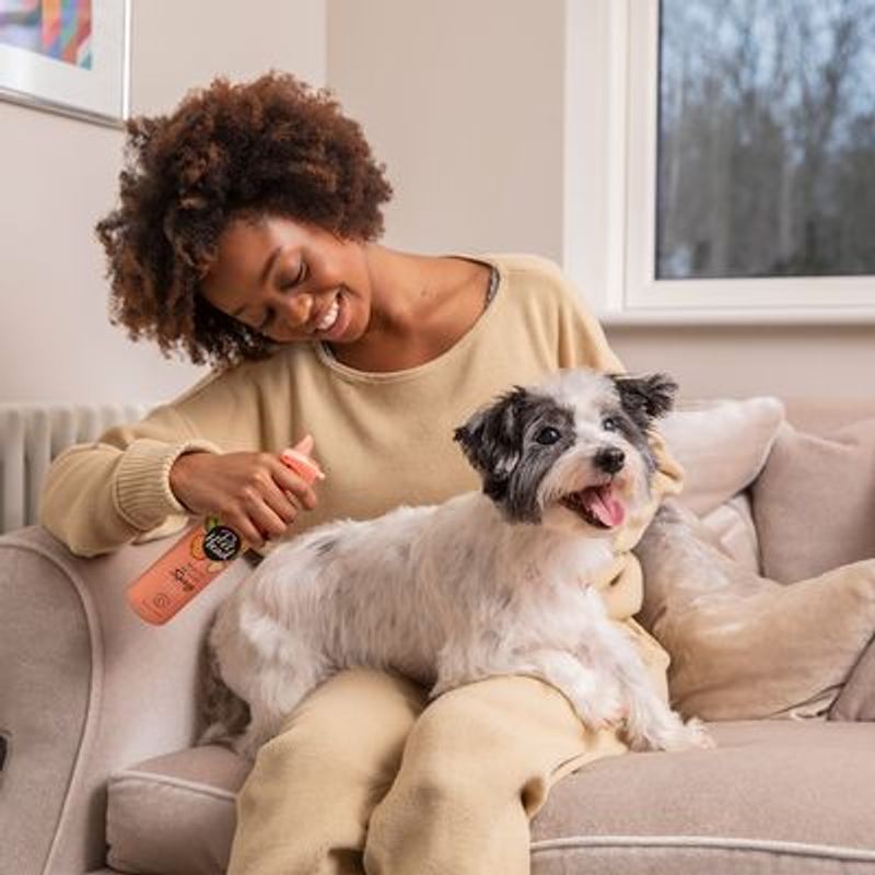 Pet Head Quick Fix
