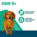 Perfect Fit Senior Hund (<10 kg)