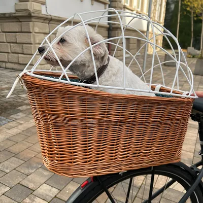 Panier en osier fixé sur un vélo, avec un petit chien blanc à l’intérieur et une grille de protection métallique blanche visible au-dessus du panier.