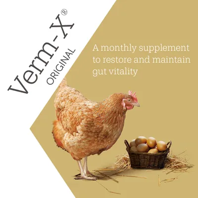 Verm-X Original. Mesačný doplnok na obnovu a udržanie zdravia čriev.