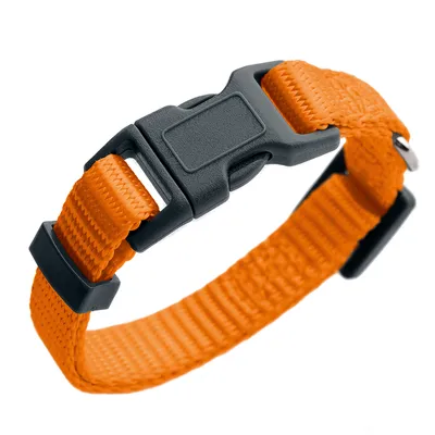 Collare arancione in nylon resistente con fibbia in plastica nera e misura regolabile.