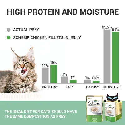 Usporedna tablica sastava: Schesir Chicken Fillets in Jelly sadrži 15 % proteina, 1 % masti, 0,8 % ugljikohidrata, 81 % vlage. Prikaz pakiranja Schesir hrane za mačke.