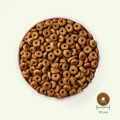 Crocchette a forma di anello in una ciotola bianca, con dettaglio della singola crocchetta e indicazione della dimensione: 10 mm di diametro.