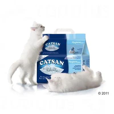 Förpackning med kattströ Catsan Hygiene plus, blå och ljusblå design, två vita katter synliga bredvid förpackningen. Text: Catsan, Hygiene plus.