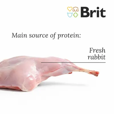 Brit Care Grain-Free Sterilized Sensitive Crocchette per gatti