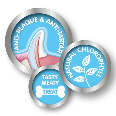 Anti-plaque and anti-tartar, natural chlorophyll, tasty meaty treat. Diagram of tooth and leaf illustration included.