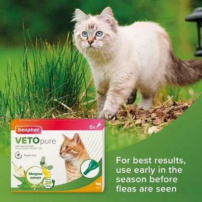 Image shows Beaphar Veto Pure spot-on for cats with margosa extract, repels fleas. Text: For best results, use early in the season before fleas are seen.
