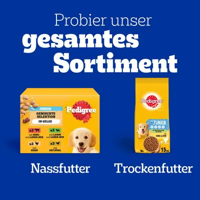 Pedigree Junior Nassfutter Gemischte Selektion in Gelee und Trockenfutter mit Huhn und Reis. Probier unser gesamtes Sortiment.