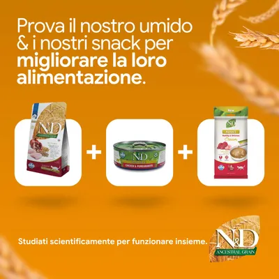 N&D Ancestral Grain crocchette, N&D Prime Chicken & Pomegranate alimento umido e N&D adult cream snack. Sviluppato scientificamente per una migliore alimentazione.