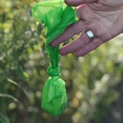 Mano che tiene un sacchetto verde in plastica annodato, utilizzato per la raccolta dei bisogni del cane. Nessun marchio o testo visibile sul sacchetto.
