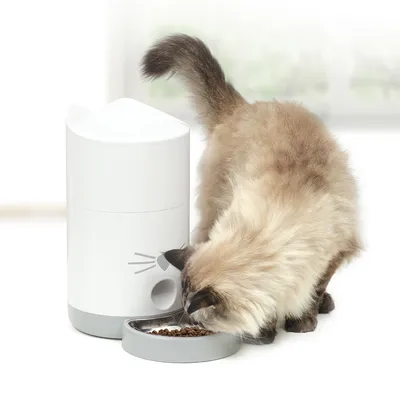 Automatischer Futterspender mit grauer Futterschale, Katze frisst Trockenfutter aus der Schale.