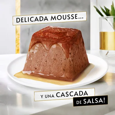 Mousse de comida húmeda para mascotas servida en plato blanco, cubierta con salsa. Texto visible: 'Delicada mousse... y una cascada de salsa!'.