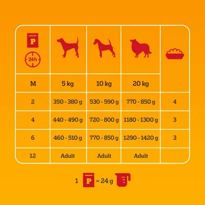 Utfodringstabell för hundar: vikt 5 kg, 350–380 g; 10 kg, 530–590 g; 20 kg, 770–850 g. 1 portion = 24 g. Måltider per dag: 2–4 beroende på storlek.