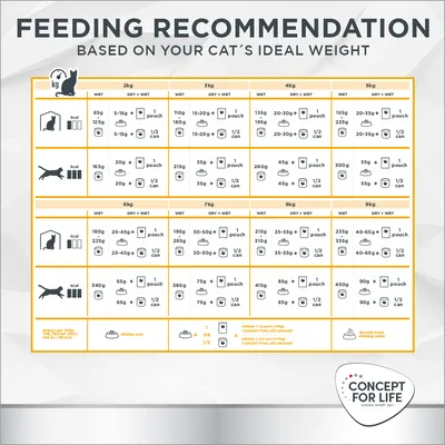 Tabella consigli alimentari per gatti Concept for Life: dosi giornaliere di cibo umido, secco o misto in base al peso ideale da 2 a 9 kg. Include icone e valori in grammi, bustine e lattine.