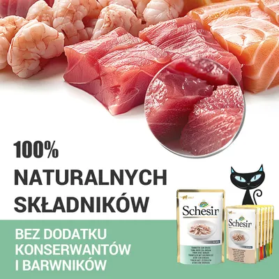 100% naturalnych składników. Bez dodatku konserwantów i barwników. Schesir – saszetki z karmą dla kotów, ilustracja ryb i krewetek, grafika kota.