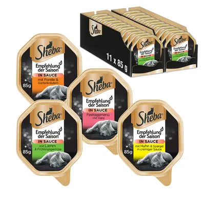 Sheba Empfelung der Saison In Sauce -kissan märkäruokapakkaukset, 11 x 85 g. Näkyvissä makuja: taimen & yrtit, lammas & vihannekset, hanhi, kana & parsa. Teksti saksaksi.