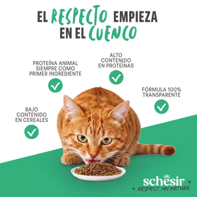Schesir: proteína como ingrediente principal, alto contenido en proteínas, bajo en cereales, fórmula 100% transparente. El gato come pienso seco.
