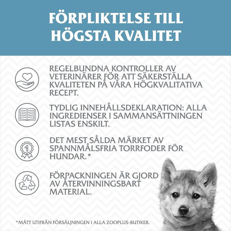 Wolf of Wilderness Junior "Blue River" med lax - spannmålsfritt