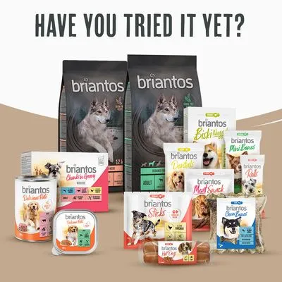 Briantos Adult Light/Sterilised Kalkoen & Aardappel - Graanvrij Hondenvoer