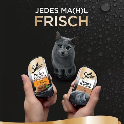 Două porții Sheba Perfect Portions pentru pisici, variantele Truthahn și Ente, ținute în mâini. Text vizibil: JEDES MA(H)L FRISCH. Imagine cu o pisică gri pe fundal negru.