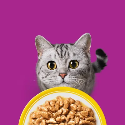 Whiskas 1+ Adult 24 x 85 g Whiskas 1+ Adult 24 x 85 g