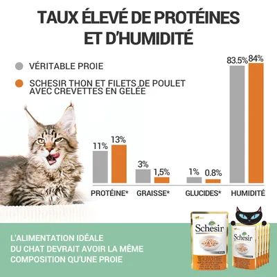 Graphique comparatif protéines, graisses, glucides et humidité : véritable proie vs Schesir thon et filets de poulet avec crevettes en gelée. Paquets Schesir visibles. Texte explicatif inclus.
