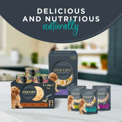 Encore Dog Tin Multibuy 48 x 156g