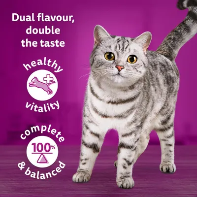 Testo in inglese: Dual flavour, double the taste. healthy vitality. complete & balanced 100%. Immagine di gatto grigio su sfondo viola.