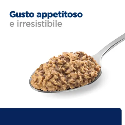Gusto appetitoso e irresistibile. Testo visibile sopra cucchiaio con alimento umido marrone.