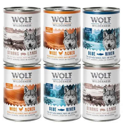 Six cans of Wolf of Wilderness wet food, labelled Strong Lands, Wide Acres, and Blue River. Each can states 100% grain-free and lists main ingredients: pork, chicken, or fish with wild berries, roots and herbs.
