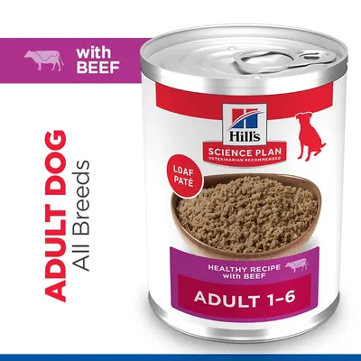 Hill's Science Plan Adult 1-6 6 x 370 g
