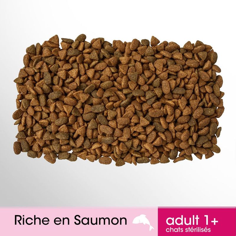 Perfect Fit Adult 1+ Riche en saumon