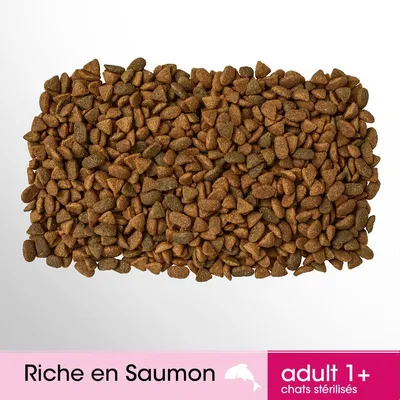 Croquettes, texte visible : Riche en Saumon, adult 1+ chats stérilisés