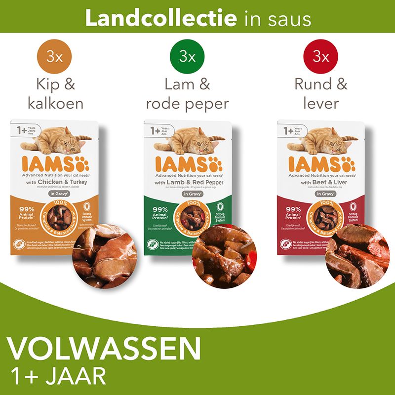 IAMS Advanced Nutrition Adult in Saus 12 x 85 g