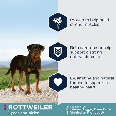 Protein for strong muscles, beta carotene for natural defence, L-carnitine and taurine for a healthy heart. For Rottweiler 1 year and older. Also suitable for Bordeauxdogge, Cane Corso, Rhodesian Ridgeback.