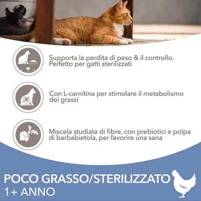 Testo: Supporta la perdita di peso & il controllo. Perfetto per gatti sterilizzati. Con L-carnitina per stimolare il metabolismo dei grassi. Poco grasso/sterilizzato 1+ anno.