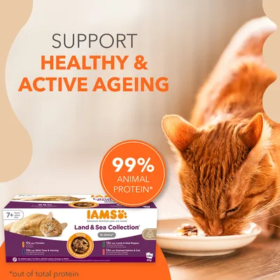 Text: SUPPORT HEALTHY & ACTIVE AGEING, 99% ANIMAL PROTEIN*. IAMS Land & Sea Collection in Gravy. Bild på orange katt som äter samt förpackning med fyra smaker. Text på engelska.